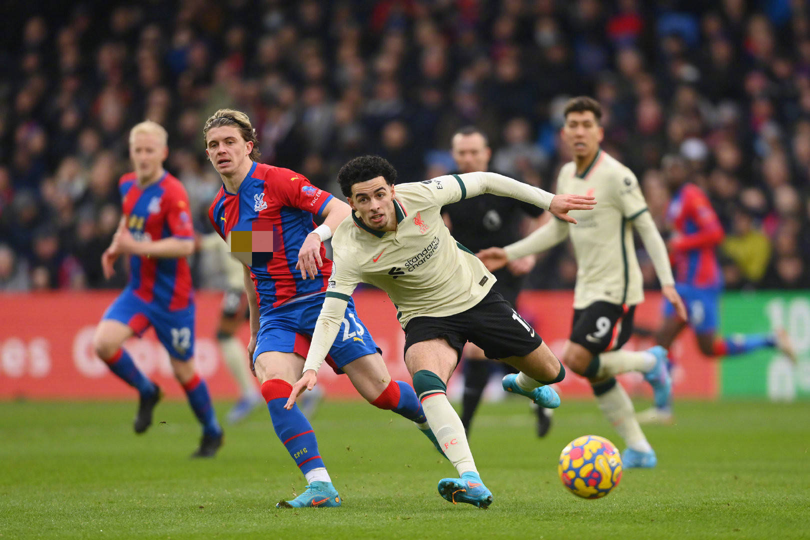 仅让勇士队 仅让勇士队