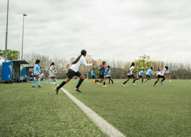 逐步实施 逐步实施